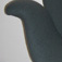 detailbigtulip (2K)