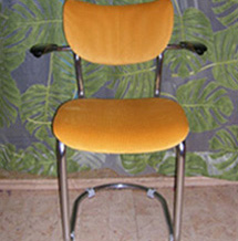 dewitnageel (29K)