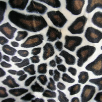 lizzo (19K)